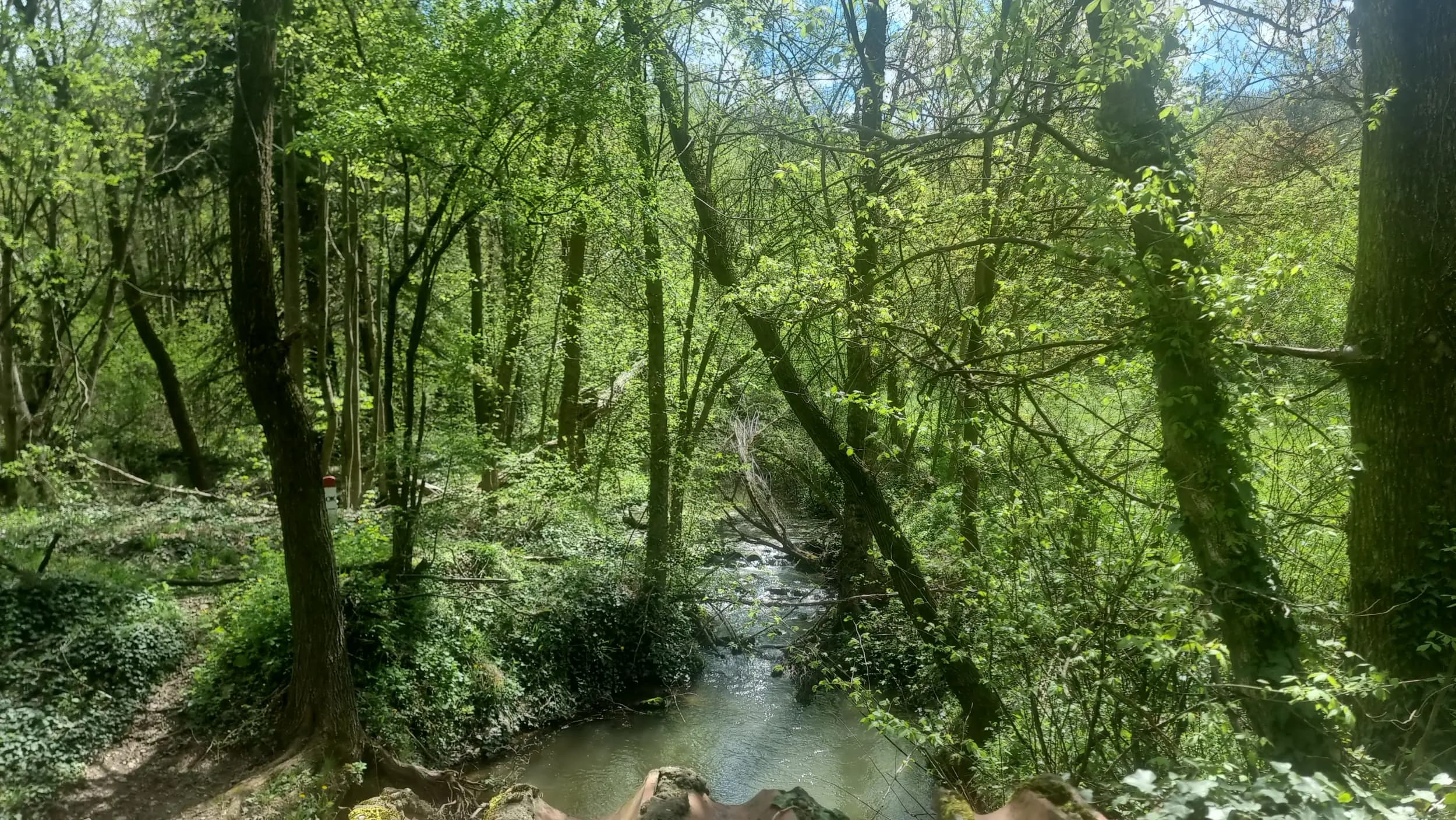 Хижа „Среброструй“