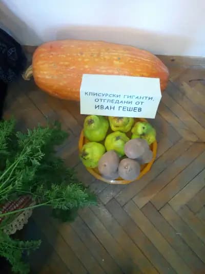 Магазин за хранителни стоки “Деяс”