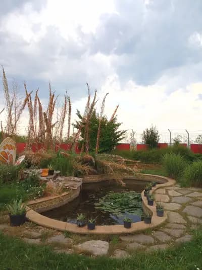 Градински център "Компас-Флора"