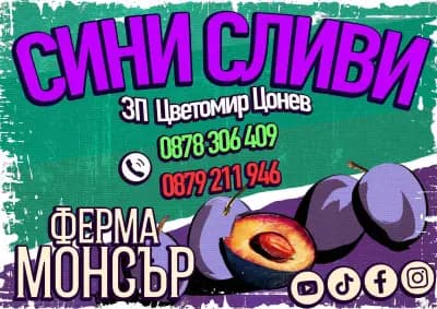Ферма Монсър