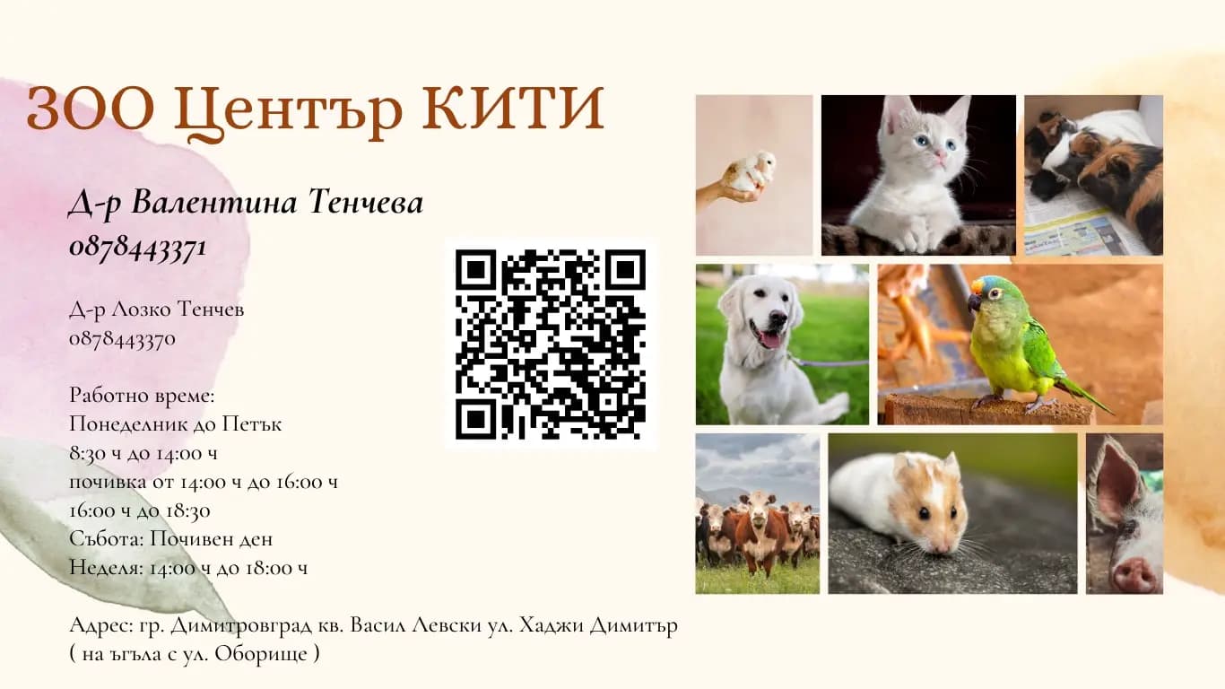 Зооцентър "КИТИ"