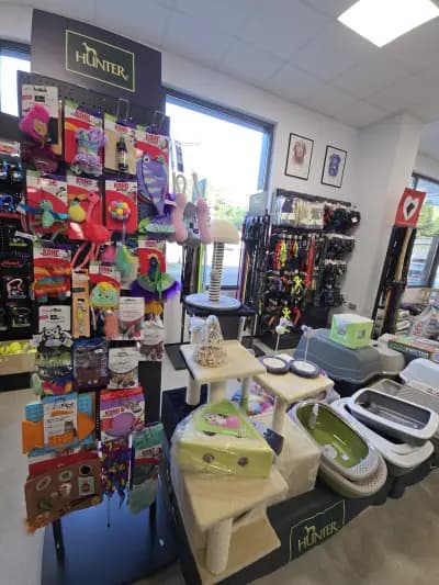 PET HUB