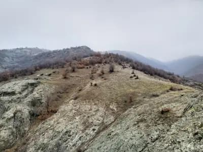 Скално светилище “Кръста”