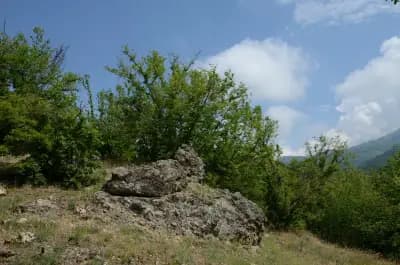 Скално светилище “Кръста”