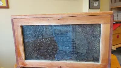 Истински Мед - магазин