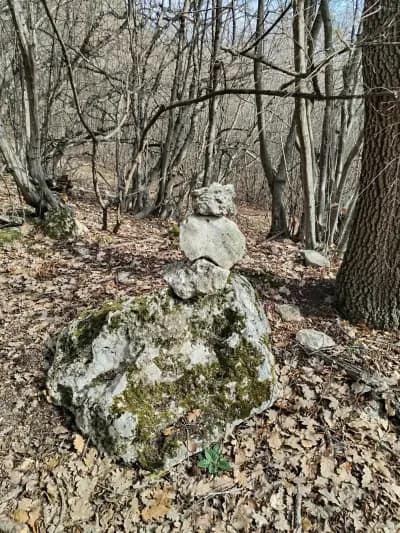 Конна база "Виница"