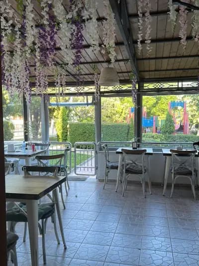 GO.LYVK-SVETI VLAS