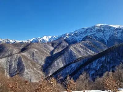 Хижа „Плевен“