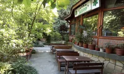 Малкия Явор