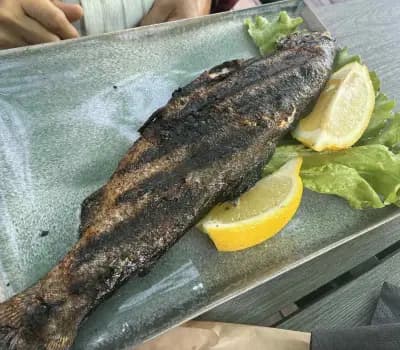 Ресторант “Валявица” Рилски манастир/ Restaurant “Valyavitsa” Rila monastery