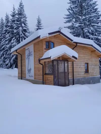 Вила „Миша“