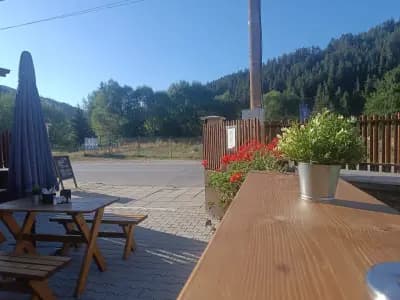 ПЛАНИНСКА скара