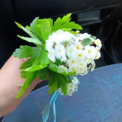 DARMONEV FOOD