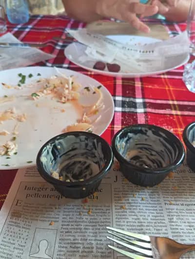 Механа “Вичов Хан” Враца