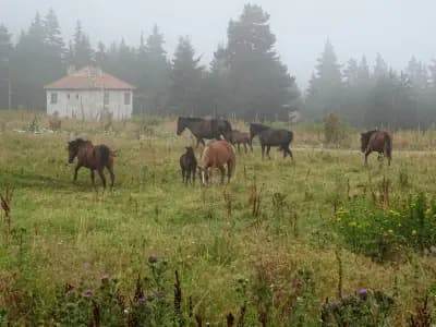 Semkovo Mountain Resort