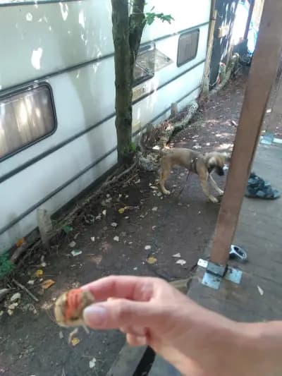 Зона Кракен