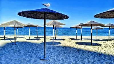 Élan NightBeach