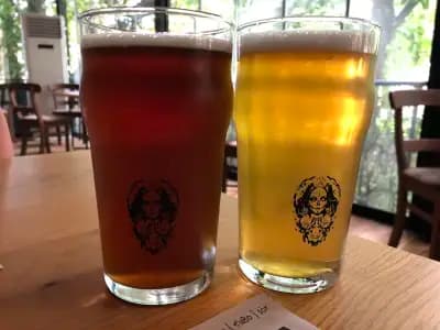 ШаNo5 craft beer brewpub