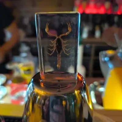 Beach Bar Scorpio