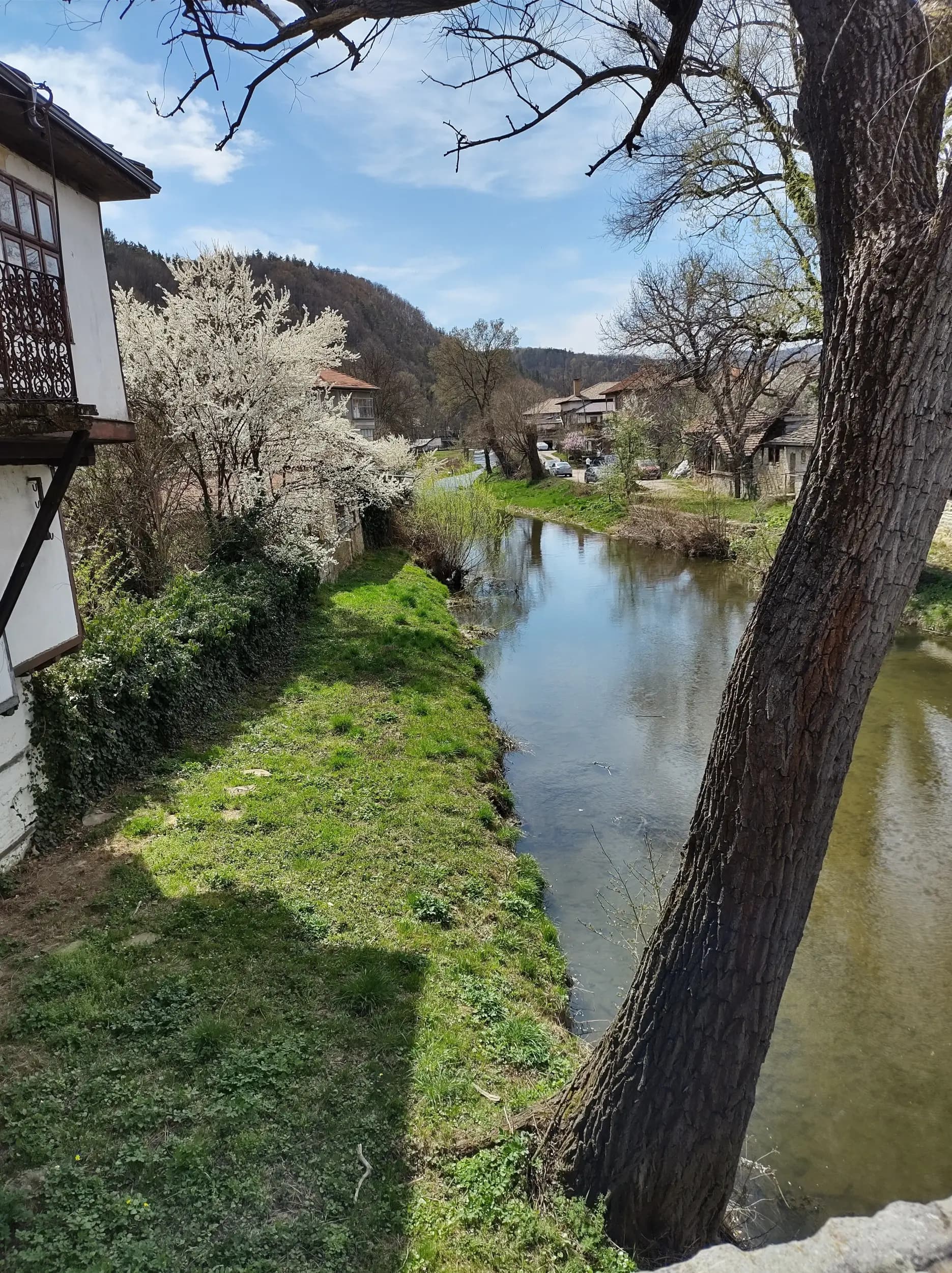Часовникова кула Трявна
