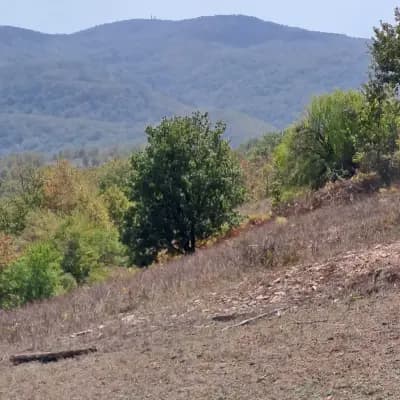 4x4selfdrive.bg