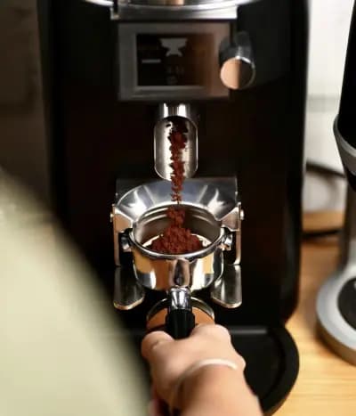 Champions Varna Alcohol & Tobacco