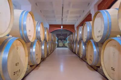 Винарска изба Меди Вали | Medi Valley Winery