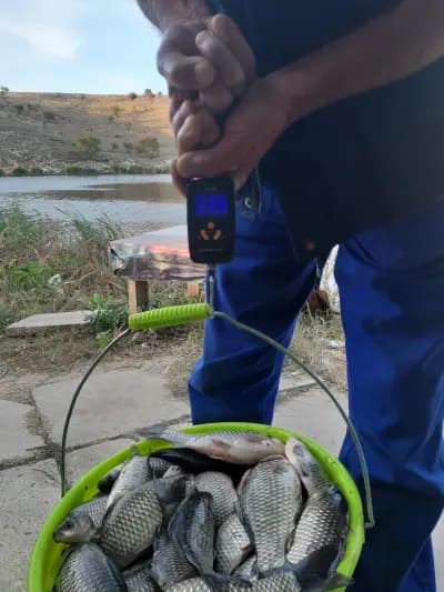 Язовир Тервел