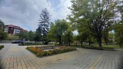 Боров парк