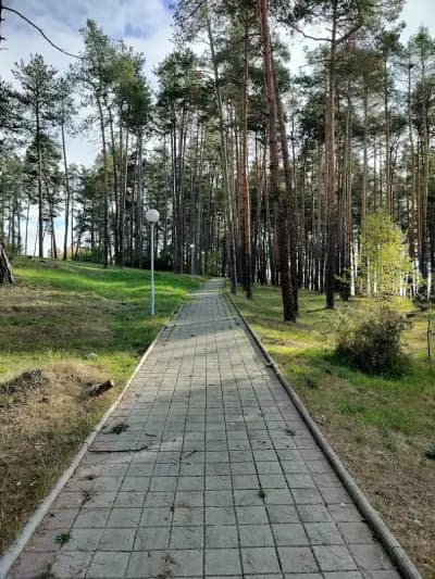 Боров парк