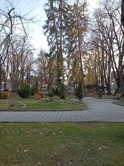 Боров парк