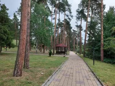 Боров парк