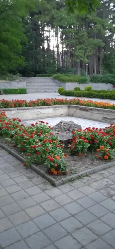 Боров парк