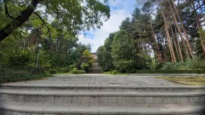 Боров парк