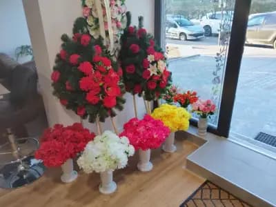 Денонощна траурна агенция Карина