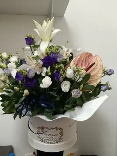 Daria Flowers