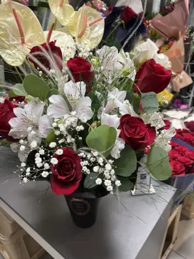 Daria Flowers