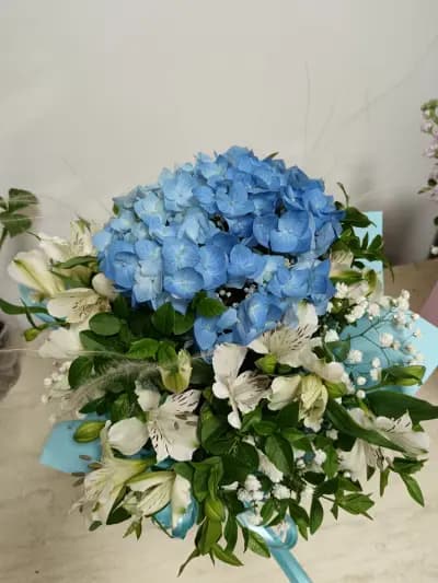 Daria Flowers