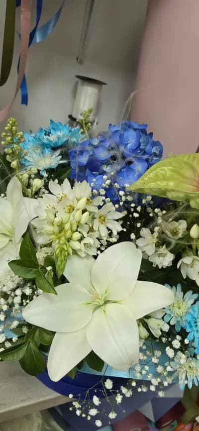 Daria Flowers