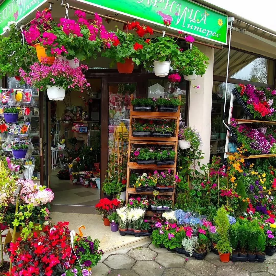 Цветарница Интерес