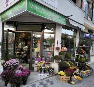 Цветарница Интерес