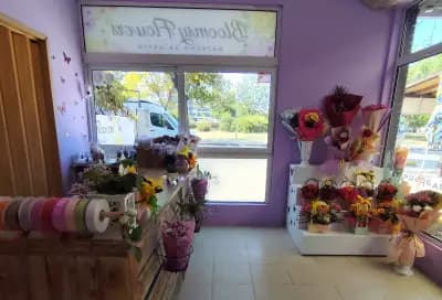 Цветарски магазин "Bloomsy Flowers"