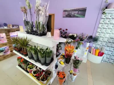 Цветарски магазин "Bloomsy Flowers"