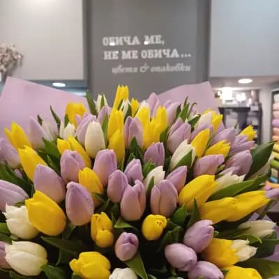 Обича ме, не ме обича