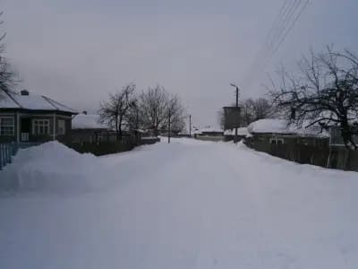 КМЕТСТВО ОРЕШЕНЕ