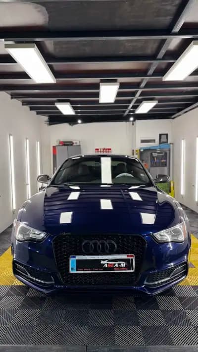 ASEA-M Detailing