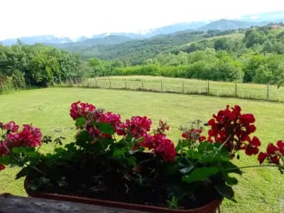 Топаловата Къща