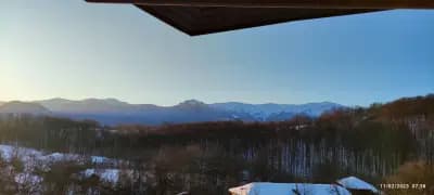 Вила „Петра“