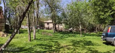 Бялата къща