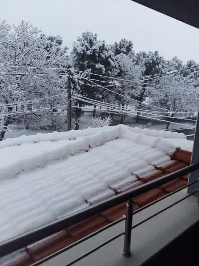 Вила Лотос, Хисаря